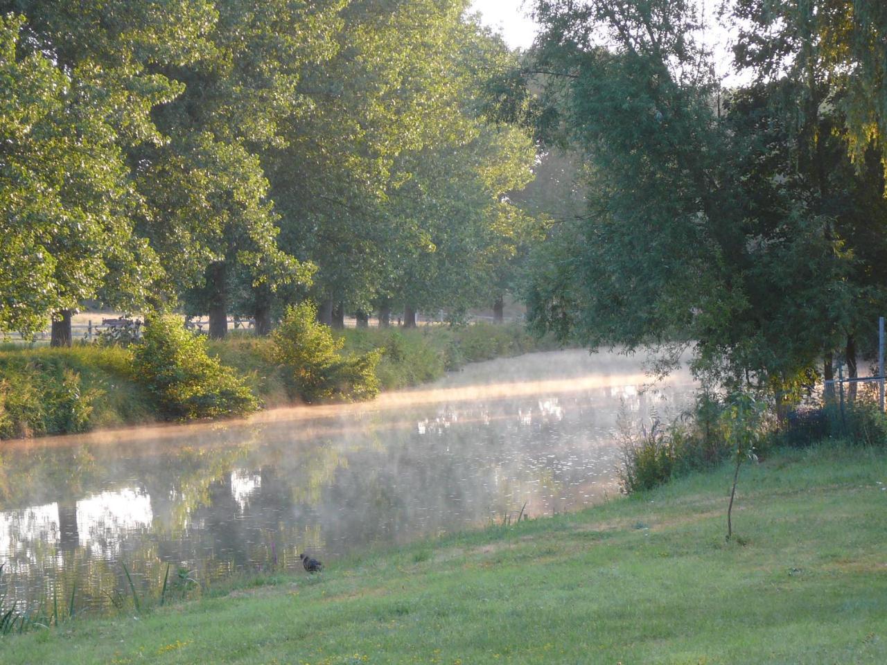 Au Crapaud Charmant Merbes-le-Chateau Luaran gambar